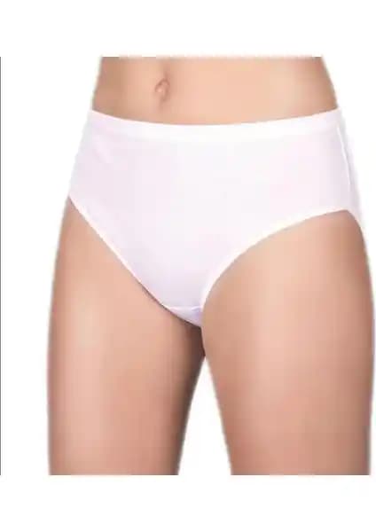 Berrak Kadın Yüksek Bel Külot Bato 6'lı Paket Konfor ve Dayanıklılık Sunar