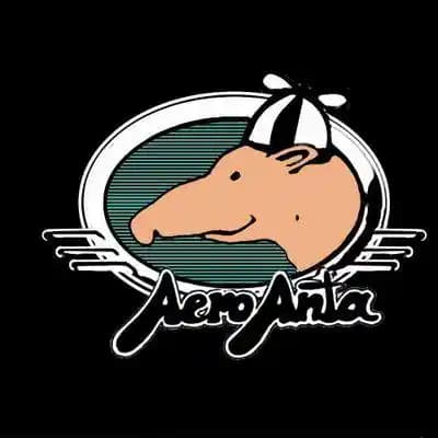 Aero Çanta Seçimi ve Kullanım Alanları: Modern Şıklık ve İşlevsellik Rehberi