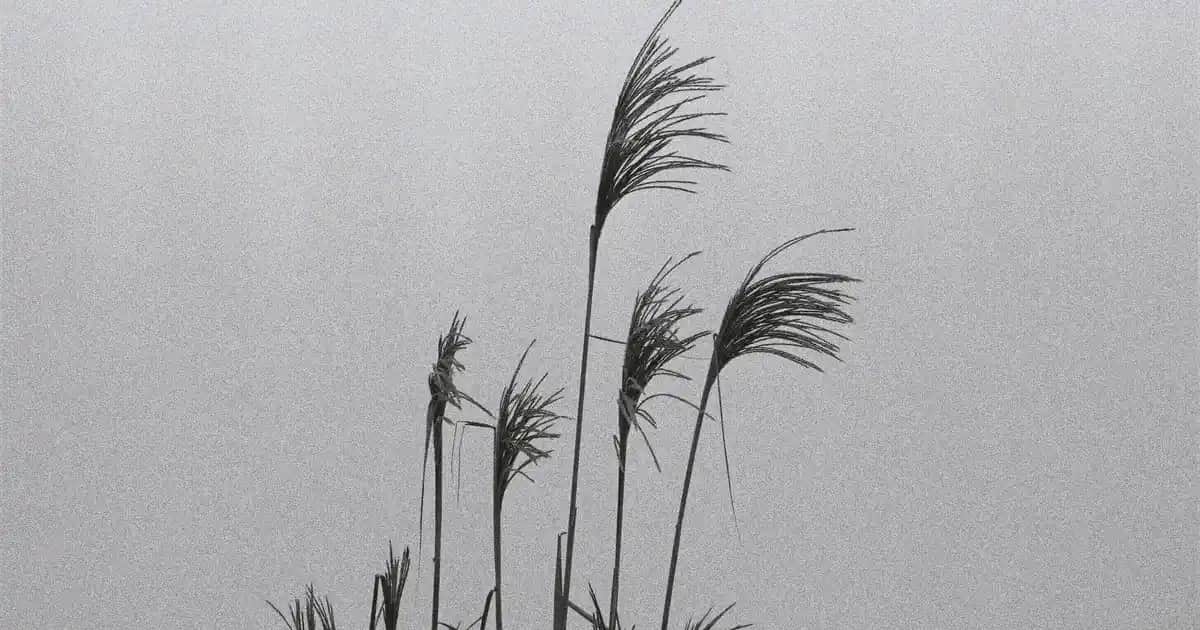 Ayakkabı Modasında Güncel Trendler ve Seçim Rehberi 2023