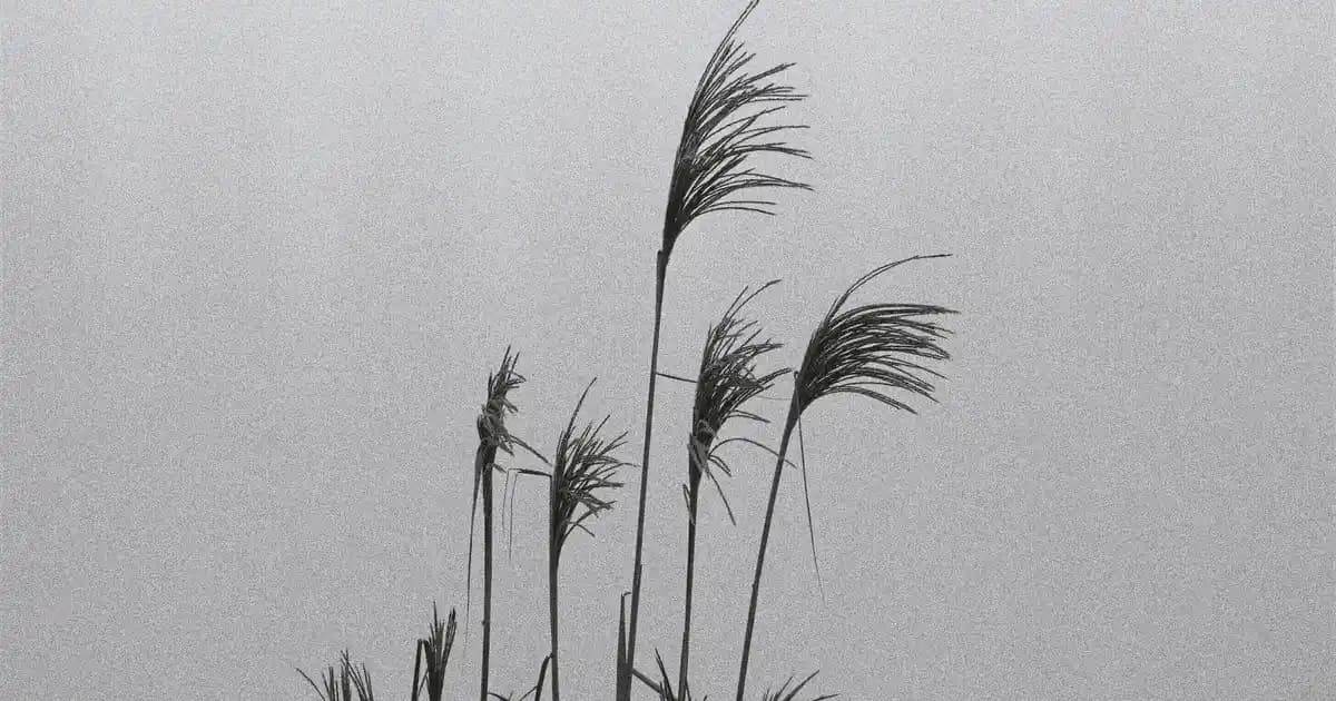 Ayakkabı Modasında Güncel Trendler ve Seçim Rehberi 2023