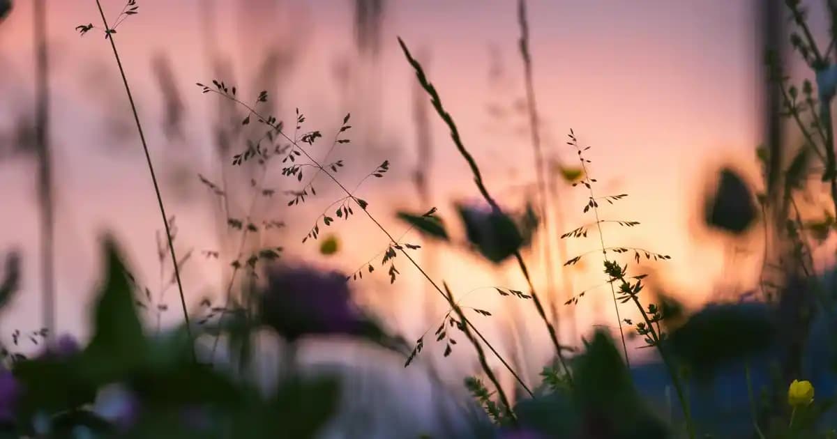 Beyaz Botlar Moda Trendlerinde Şıklık ve Rahatlığın Simgesi Olmaya Devam Ediyor