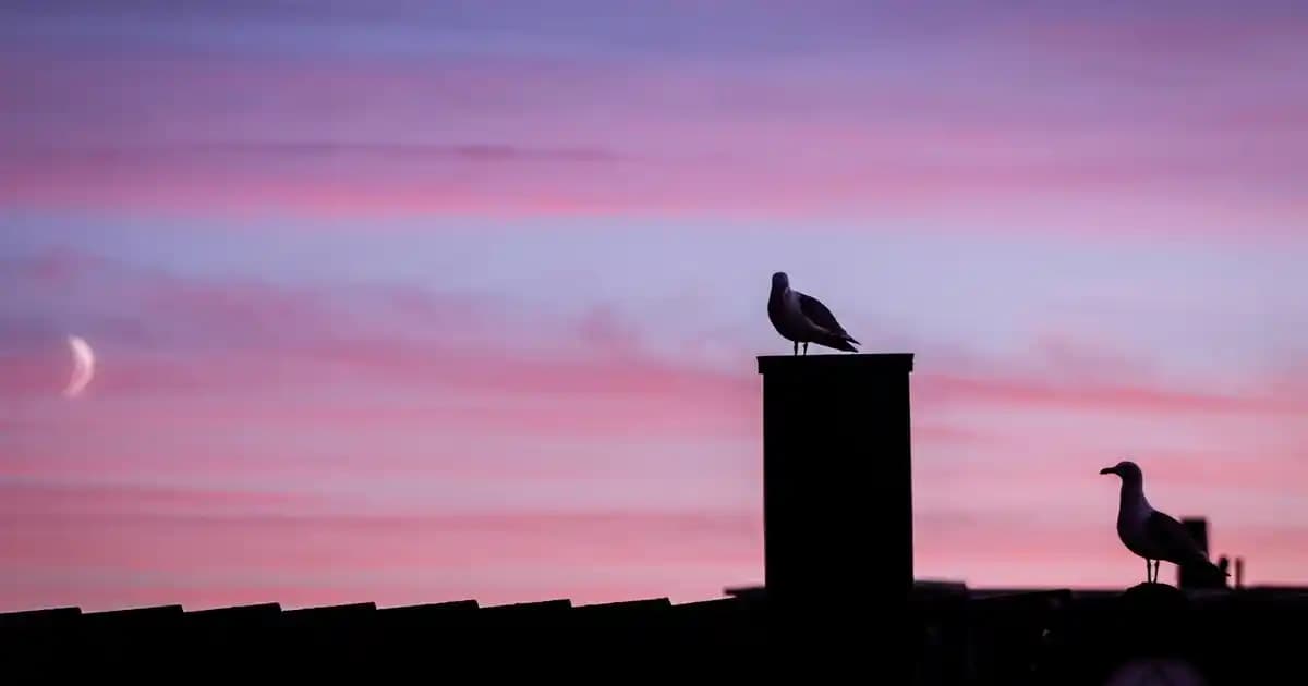 Beyaz Sporcu Çorabı Seçimi ve Spor Giyiminde Estetik ile Fonksiyonellik