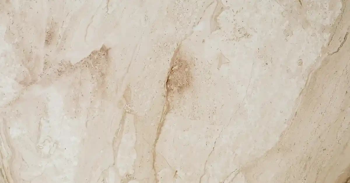 Bordo Tek Bant Topuklu Ayakkabılar: Şıklık ve Konforun Modern Buluşması