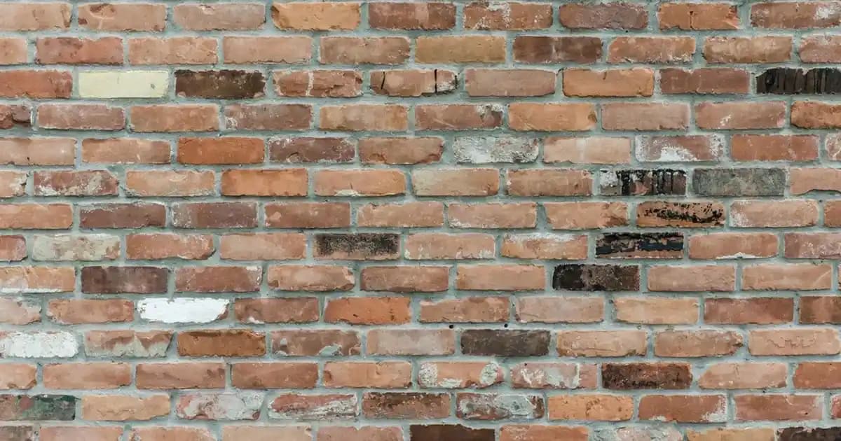 Dinazorlu Panduflar: Konfor ve Eğlenceyi Birleştiren Güncel Trendler