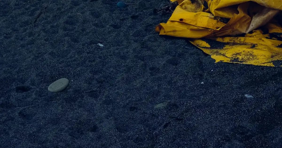 Dockers Hakiki Deri Erkek Ayakkabıları: Şıklık ve Dayanıklılık Bir Arada