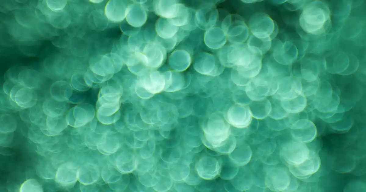 Eldivenler: Fonksiyonellik ve Şıklığın Birlikte Sunulduğu Giyim Aksesuarları