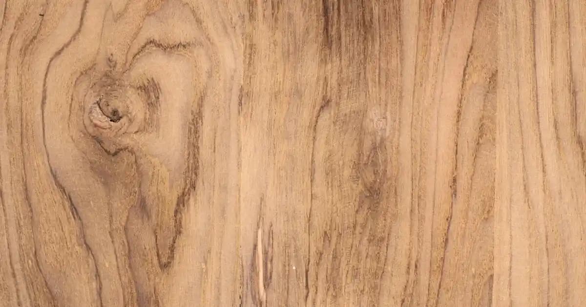 Emzirme Önlüğü Seçerken Dikkat Edilmesi Gerekenler ve Güncel Trendler