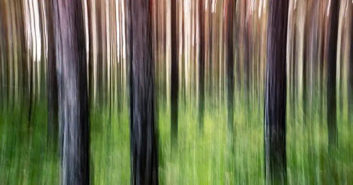 Erkek Ayakkabı Outletleriyle Uygun Fiyatlı Şıklık ve Konforu Yakalayın