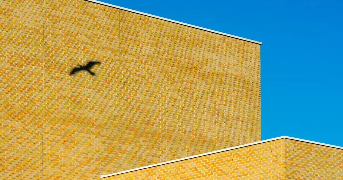 Erkek Bone Modelleri ve Trendleri: Stil ve Fonksiyonellik İçin Güncel Seçenekler