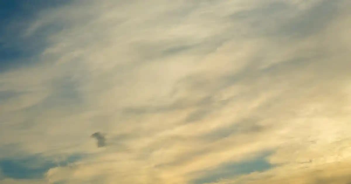 Erkek Çocuk Pandufları: Konfor ve Şıklık Sunan Güncel Trendler ve Seçim İpuçları