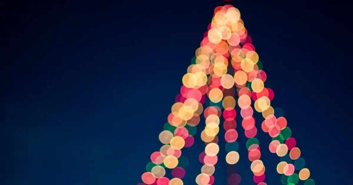 Everlast Marka Kalitesiyle Boks Eldivenleri: Güvenli ve Konforlu Spor Deneyimi