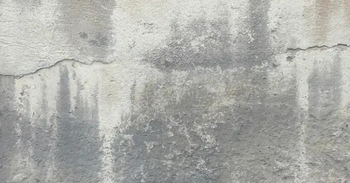 Kadın Dolgu Topuk Sandalet Modelleri: Şıklık ve Konforun Mükemmel Buluşması