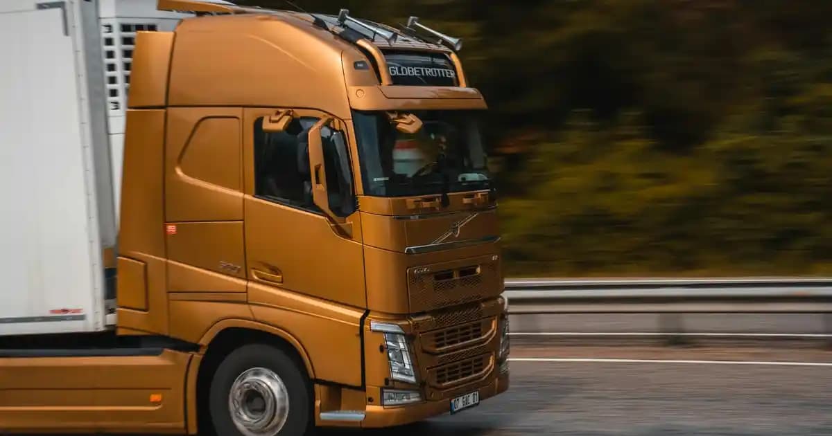 Kırmızı Polar ile Tarzınızı Canlandırın Konfor ve Şıklık Bir Arada