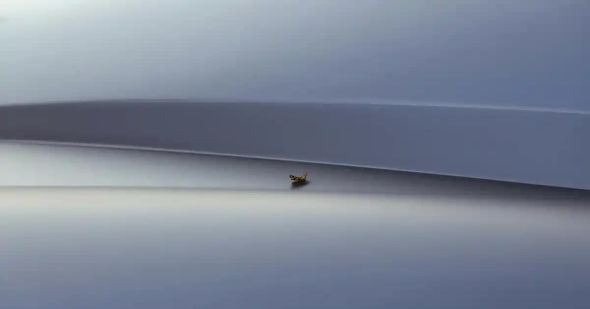 Kösele Ayakkabı Nedir, Avantajları ve Modern Tasarımlarla Zamansız Şıklık