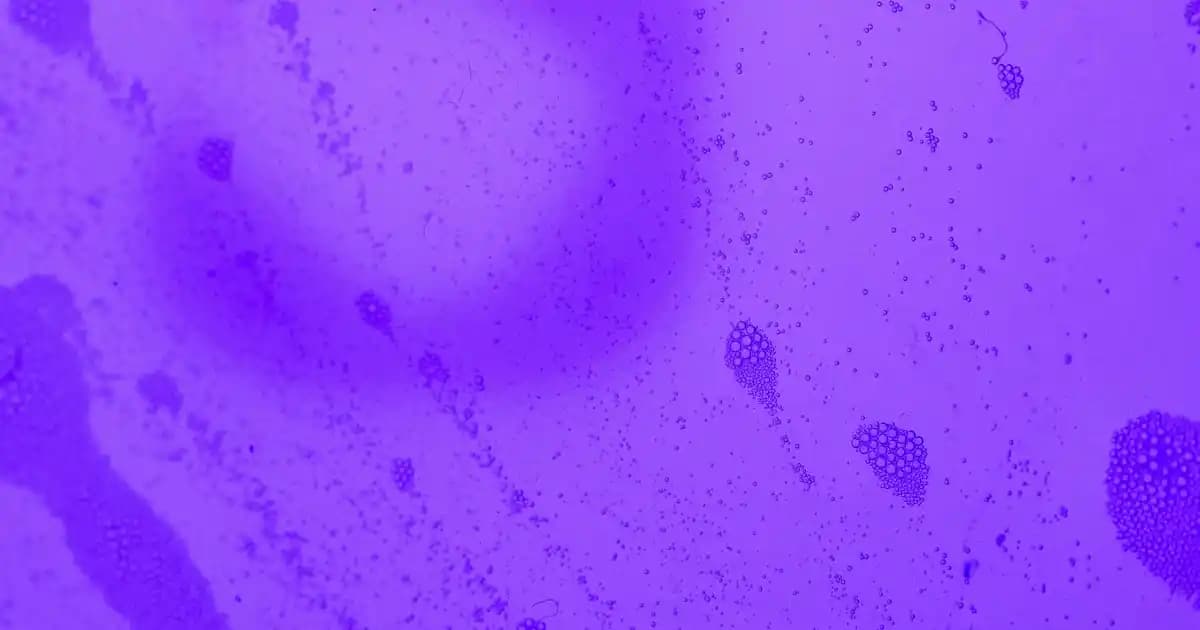 Kulaklık Askısı: Günlük Kullanımda Konfor ve Koruma Sağlayan Yenilikçi Aksesuar