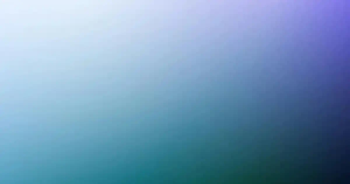 Kinetix Erkek Eşofman Takımı ve Dijital Hizmetlerin Moda Alışverişine Etkisi