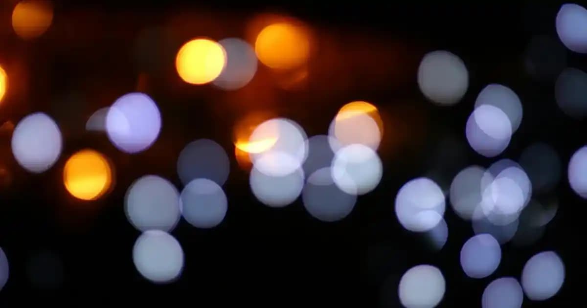 Orange Blossom Parfüm ve Moda Dünyasında Zarif ve Ferah Bir Stil Yaratma Rehberi