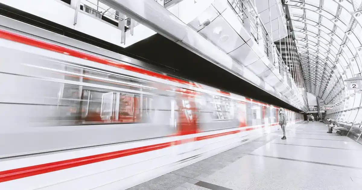 Papatyalı Ayakkabılar Moda Dünyasında Doğallık ve Zarafetin Simgesi