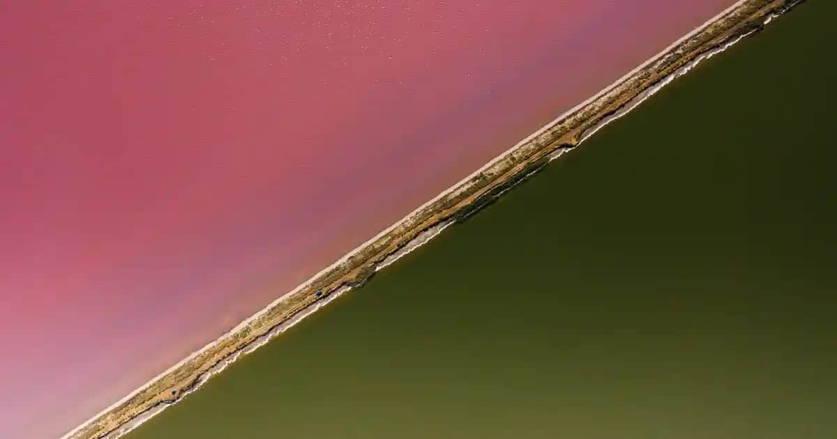 Pembe Birkenstock Modelleriyle Renkli ve Rahat Giyim Trendleri Analizi