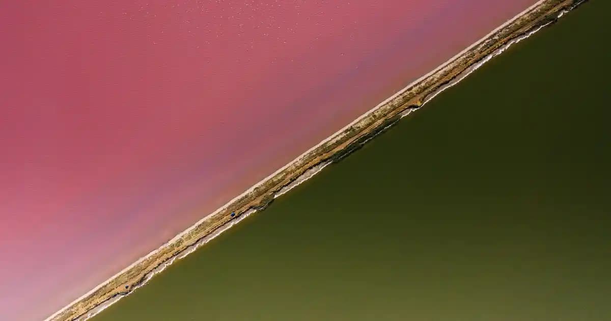 Pembe Birkenstock Modelleriyle Renkli ve Rahat Giyim Trendleri Analizi