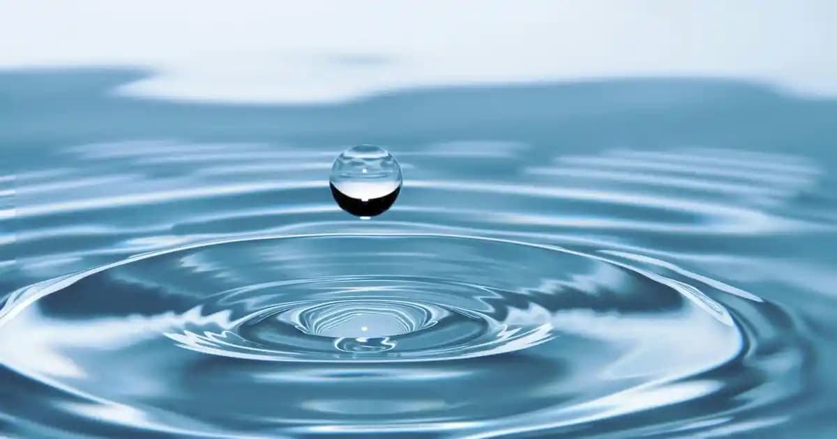 Penye Crop Nedir? Rahatlık ve Şıklığın Buluştuğu Modern Giyim Parçası