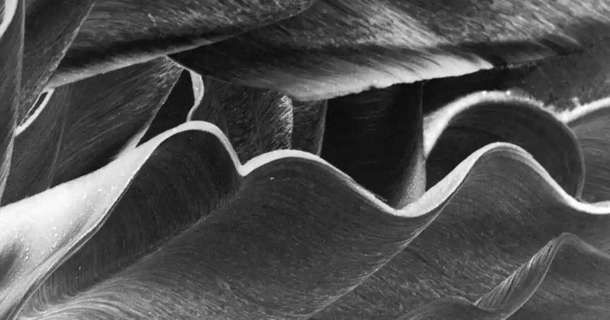 Sanrio Çantaları: Kawaii Tarzıyla Günlük Hayata Renk Katmanın Şık Yolu