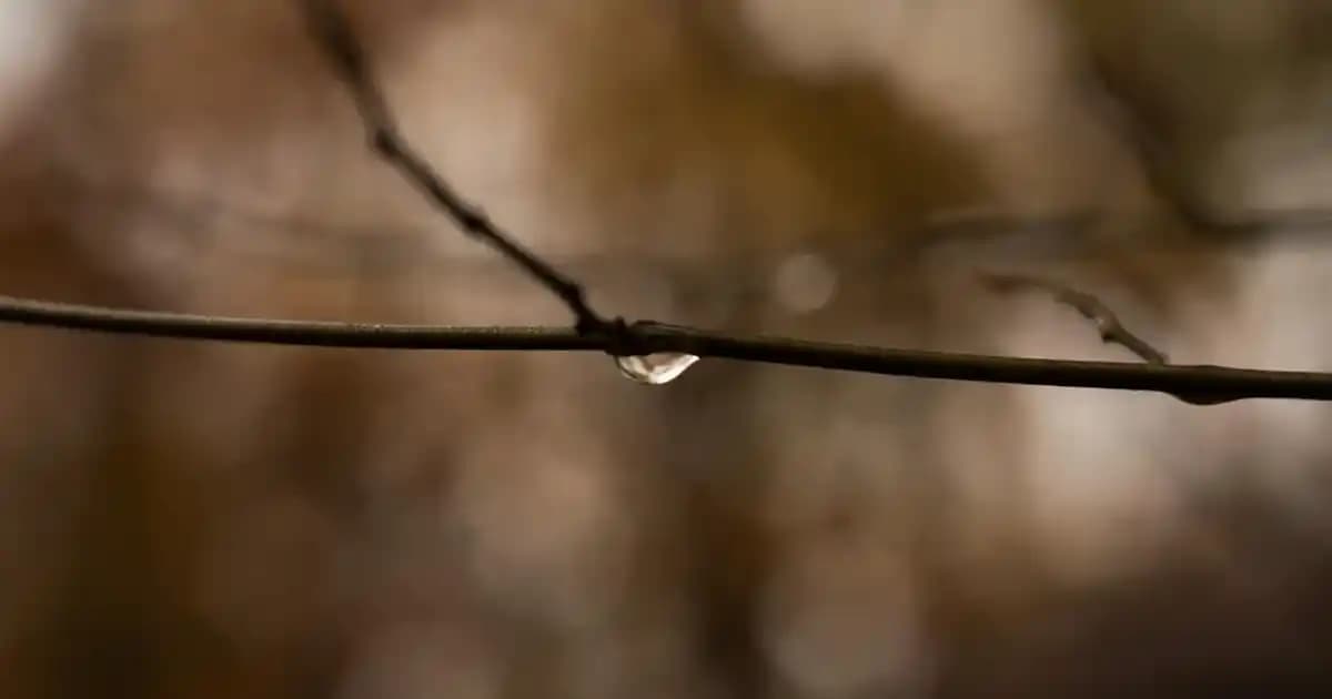 Siyah Erkek Çocuk Ayakkabıları: Şıklık ve Konforun Mükemmel Buluşması