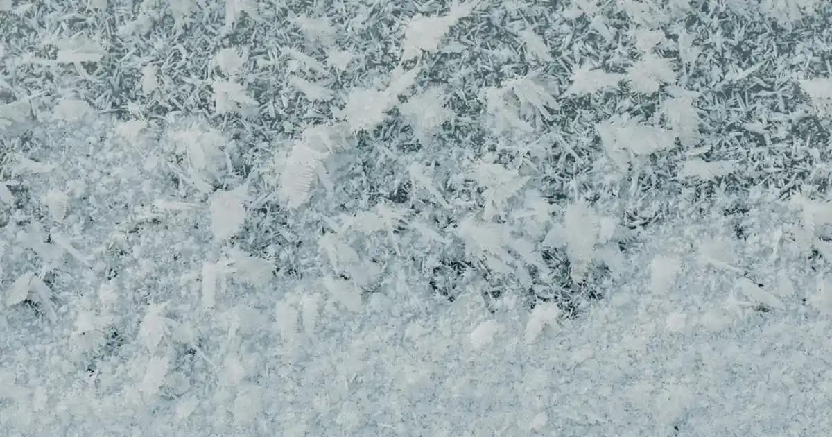 Suni Kürk Manto: Etik Moda ve Şıklığın Zamansız Parçası