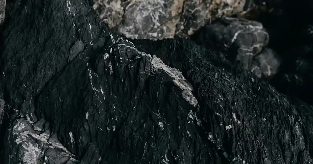 Yazlık Kadın Ayakkabı Seçiminde Trendler ve Rahatlık İçin İpuçları