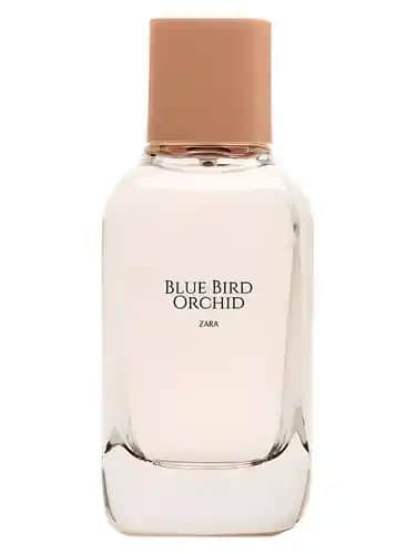 Zara Blue Bird Orchid Koleksiyonu: Doğadan İlham Alan Şık ve Sürdürülebilir Moda Tasarımları