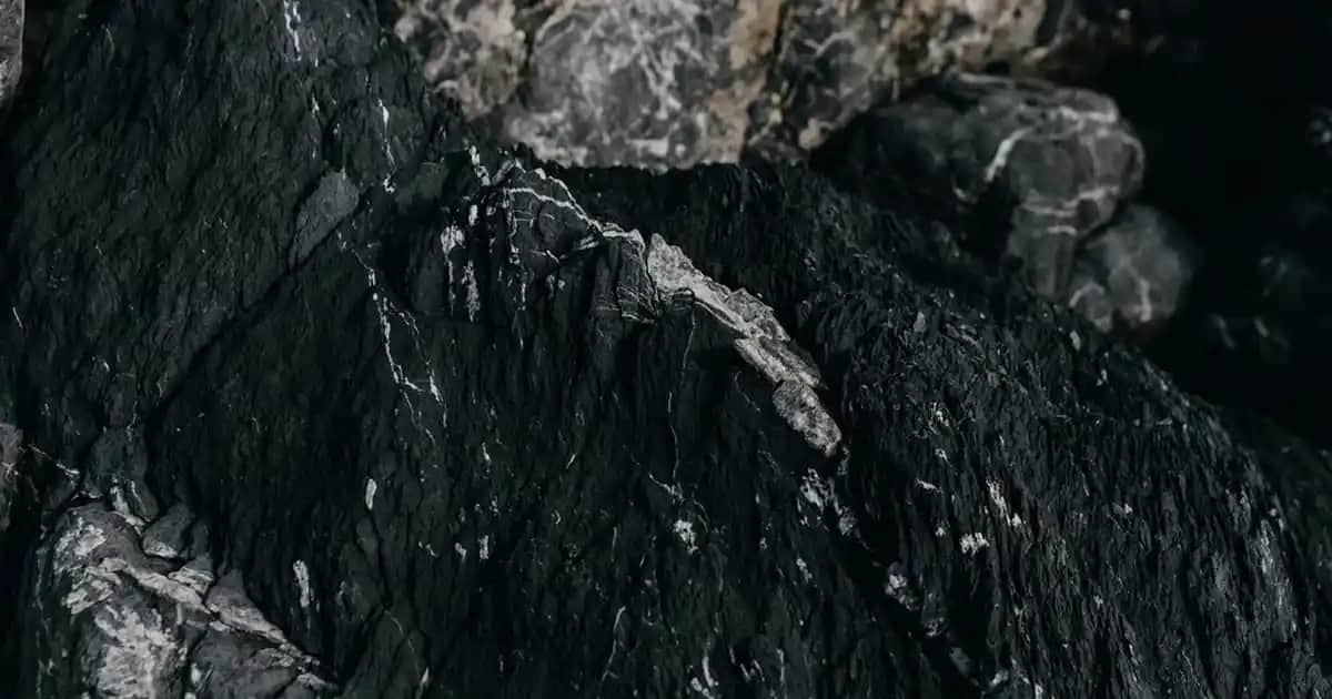 Zara Yağmur Tulumu Koleksiyonları Modern Tasarımlar ve İşlevsel Özelliklerle Öne Çıkıyor