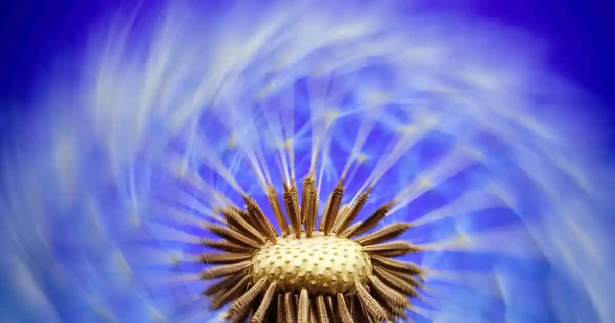 Adidas 28 Numara Ayakkabıları: Moda ve Konforu Bir Arada Sunan Geniş Numara Seçenekleri