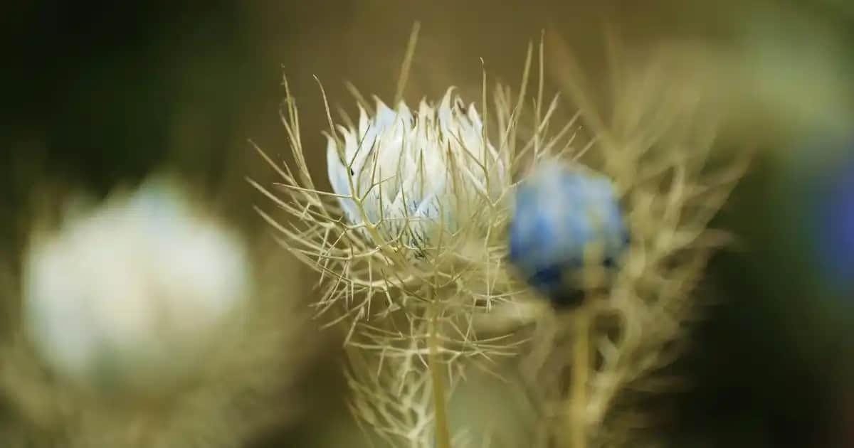 Adidas 360 Sandaletler: Modern Tasarım ve Teknolojilerle Yaz Modasında Öne Çıkın