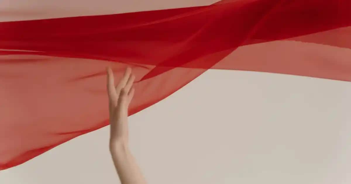 Adidas Beyaz Sweatshirtleriyle Günlük ve Spor Şıklık İçin Stil Rehberi