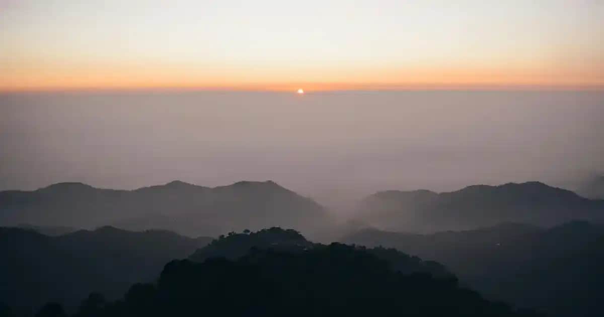 Adidas Campus 00s Beyaz Ayakkabılar: Nostaljik ve Modern Stil Uyumu