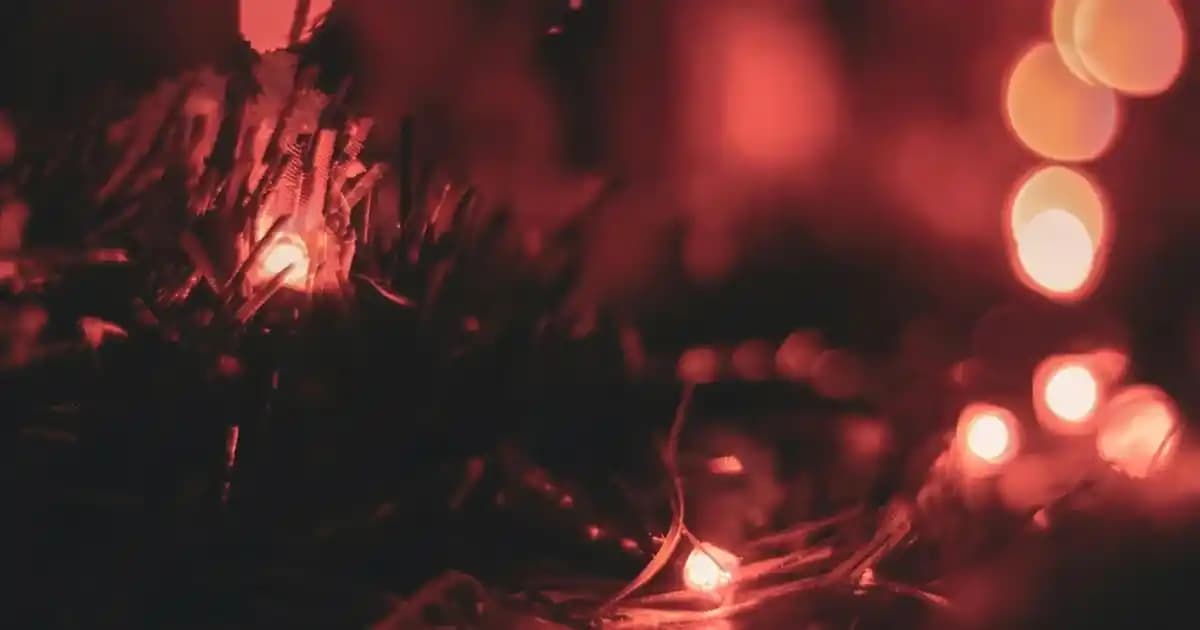 Adidas Erkek Gömlekleri: Güncel Moda Trendleri ve Şık Kombinasyonlar