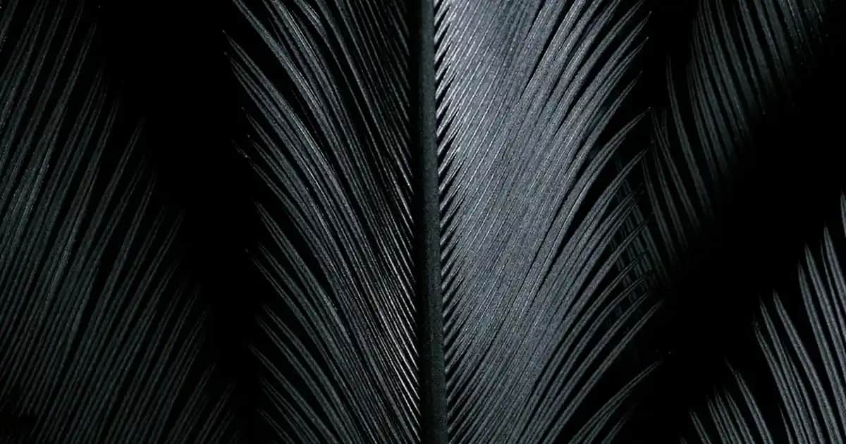 Adidas Forum Low Erkek Ayakkabıları: Modern Tasarım ve Konforun Buluşması