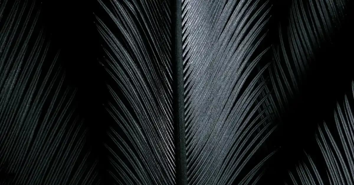 Adidas Forum Low Erkek Ayakkabıları: Modern Tasarım ve Konforun Buluşması