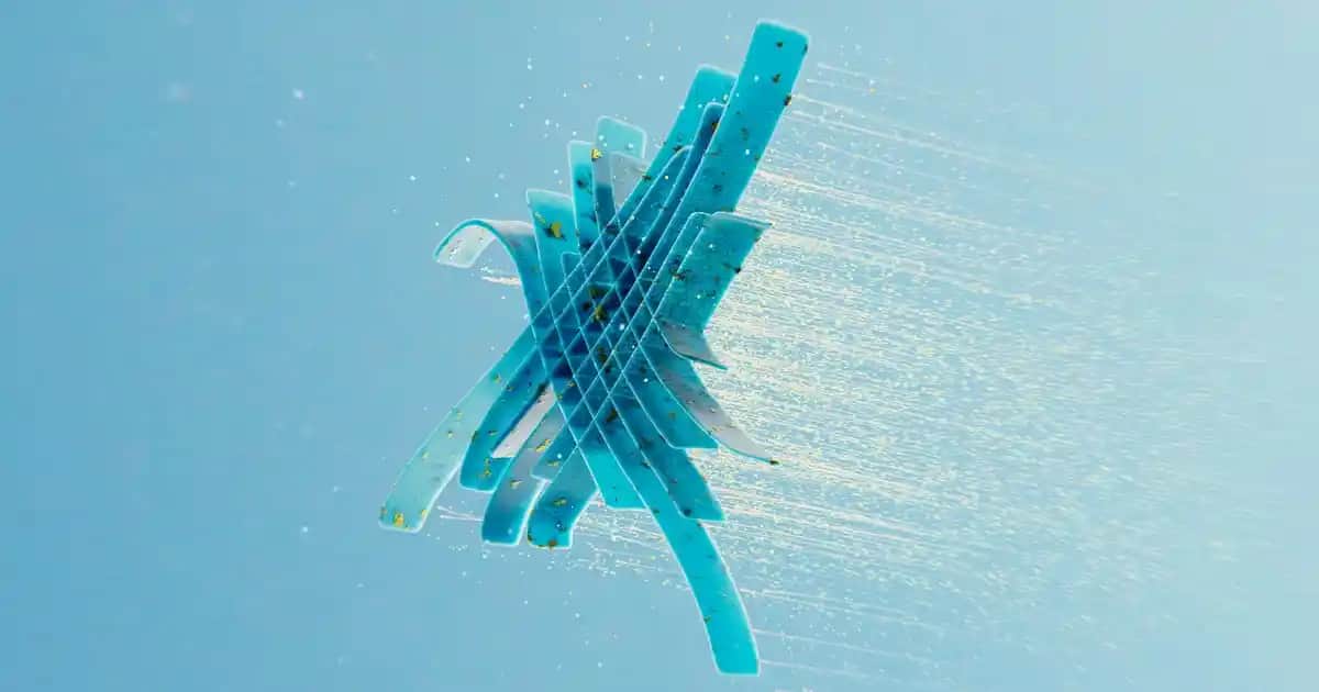 Adidas Lila Ayakkabılar: Moda ve Renklerin Gücüyle Kendinizi İfade Edin