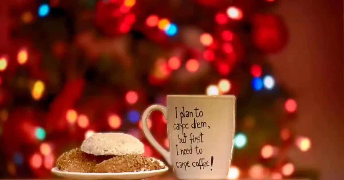 Adidas Samba Ayakkabıları: Modanın Zamansız ve Çok Yönlü Klasikleri