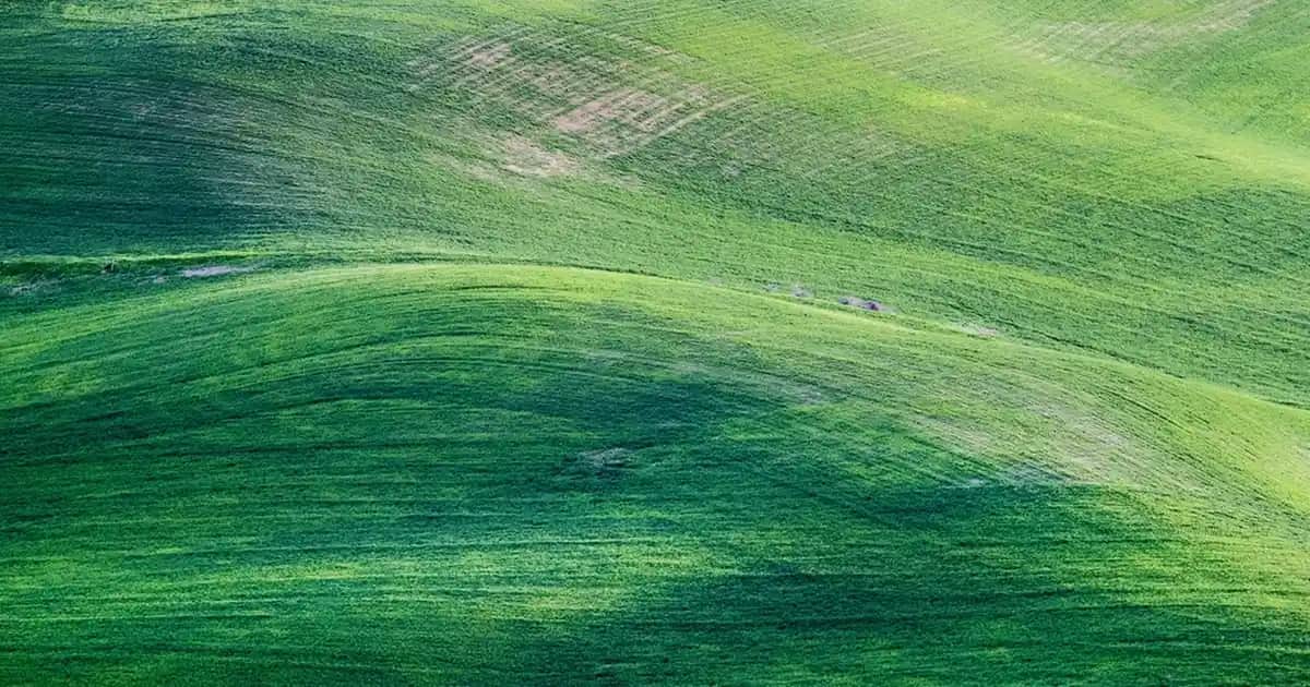 Adidas Sarı Ceket ile Moda ve Renklerin Gücünü Yansıtın