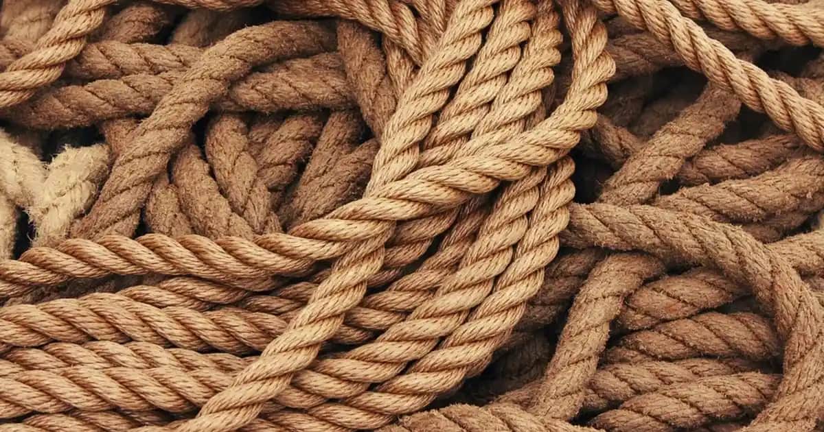 Adidas Sneaker Modası: Yenilikçi Tasarımlar ve Sürdürülebilir Teknolojilerle Moda Dünyasında Liderlik