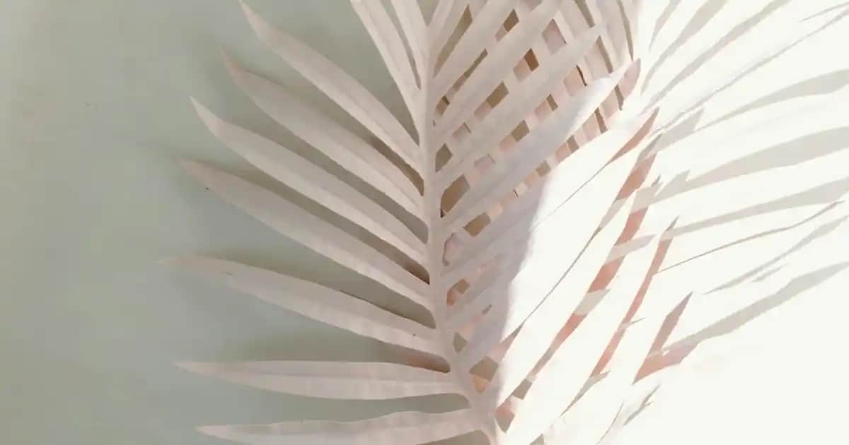 Adidas Süperstar All White: Zamansız Şıklık ve Moda İkonu Ayakkabı Rehberi