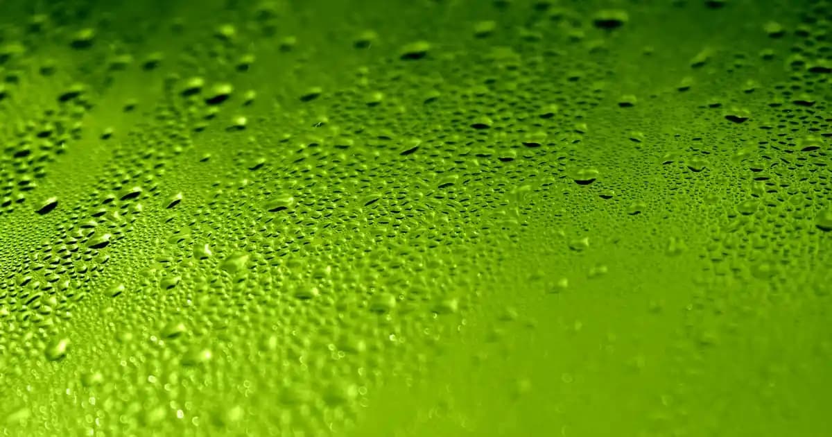 Bayan Öğretmenler İçin Güncel ve Şık Kombin Önerileri 2024 Modasıyla Uyumlu