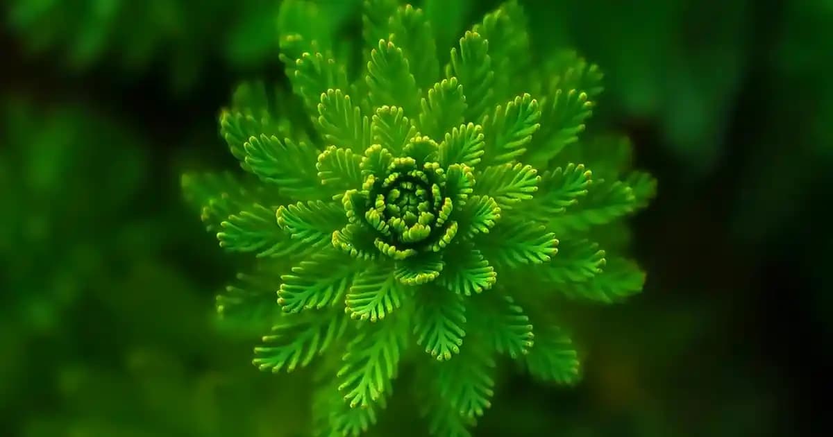 Bayan Pantolon Kumaş Çeşitleri ve Moda Dünyasındaki Yeri Hakkında Kapsamlı Bilgi