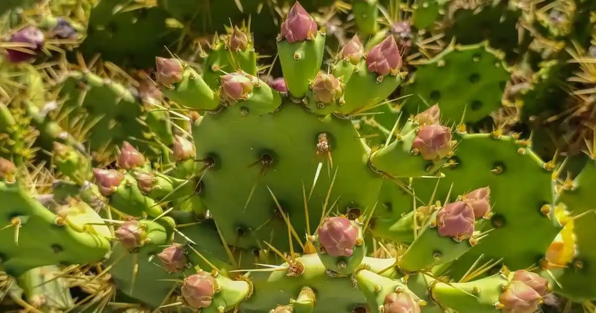 Bebek Tarz Giyim Trendleri: Konfor ve Şıklığın Modern Yaklaşımları
