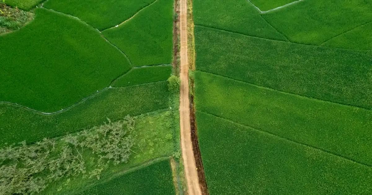 Beyaz Slip Don Modasında Güncel Trendler ve Stil Önerileri