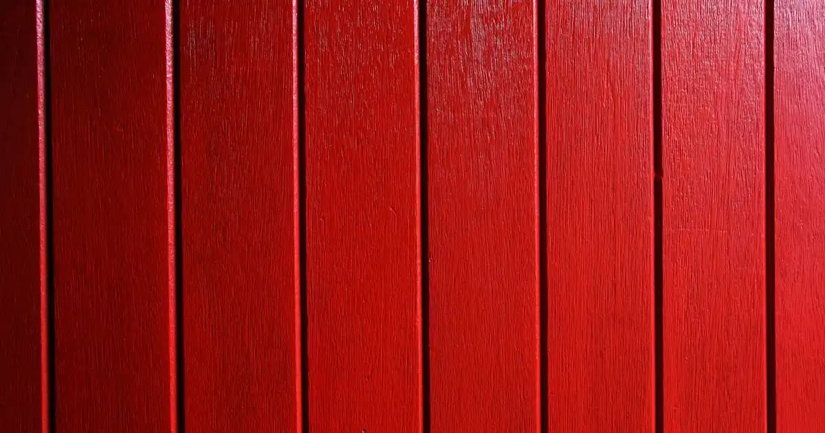 Calvin Klein Bikini Altları: Modern Tasarımlar ve Konforlu Seçeneklerle Yaz Modası