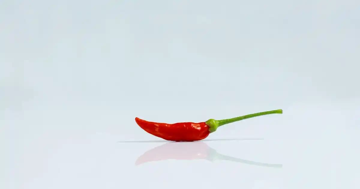 Cherry Canta: Canlı Renklerle Moda Dünyasında Özgün ve Çekici Bir İkon