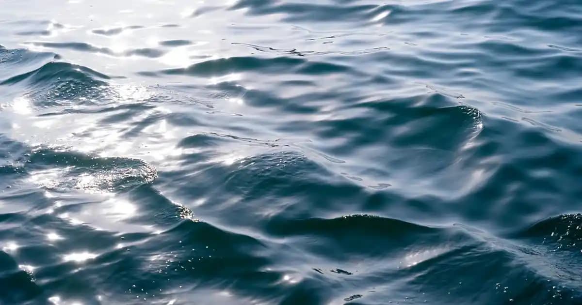 Crocs ve Moda Dünyasında 46 Numara: Konfor ve Stil Bir Arada Sunan Büyük Beden Ayakkabılar